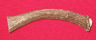 Picture of this lot Mule Deer Antler Bases Stems for knife handles