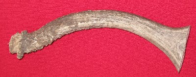 Picture of this lot Mule Deer Antler Bases Stems for knife handles