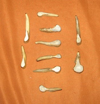 Top