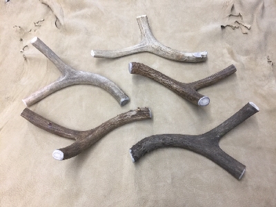 Picture of this lot White Tail Deer Antler Dog Chews