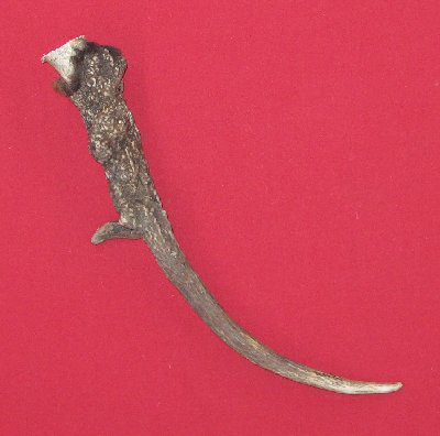 Picture of this lot Elk Antler Sides