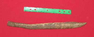 Picture of this lot Elk Antler Tines