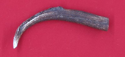 Picture of this lot Elk Antler Tines