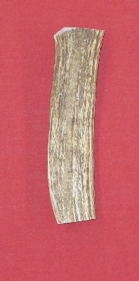 Picture of this lot Elk Antler Tines