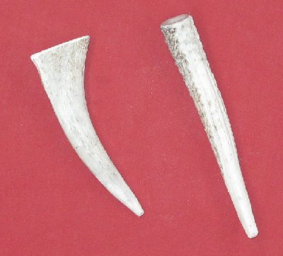 Picture of this lot Elk Antler Dog Chews