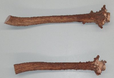 Picture of this lot Elk Antler Miscellaneous Pieces