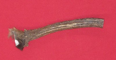 Picture of this lot Elk Antler Miscellaneous Pieces
