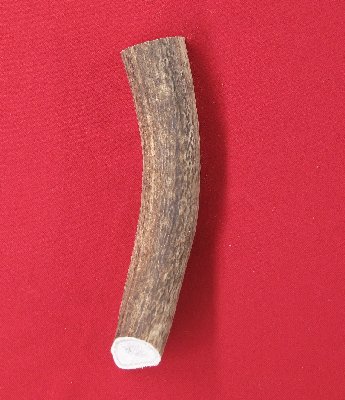 Picture of this lot Elk Antler Miscellaneous Pieces