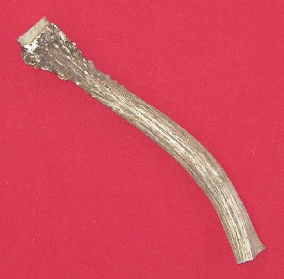 Picture of this lot Elk Antler Miscellaneous Pieces