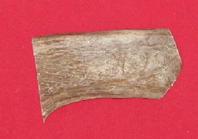Picture of this lot Moose Antler Palms