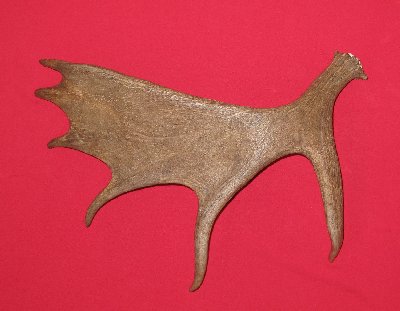 Picture of this lot Moose Antler Sides