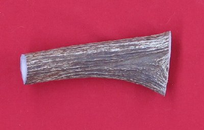 Picture of this lot Moose Antler Stems / Billets for Flint Knapping