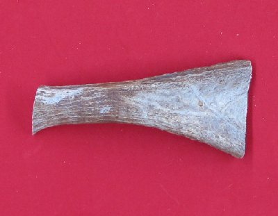 Picture of this lot Moose Antler Stems / Billets for Flint Knapping