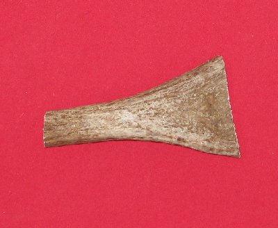 Picture of this lot Moose Antler Stems / Billets for Flint Knapping