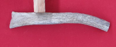 Picture of this lot Moose Antler Stems / Billets for Flint Knapping