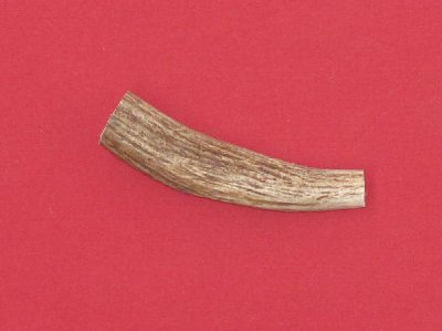 Picture of this lot Moose Antler Tines