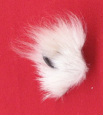 Picture of this lot Wolf Claws