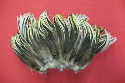 Picture of this lot Chicken Feathers, Hackles