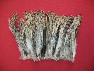 Picture of this lot Chicken Feathers, Hackles