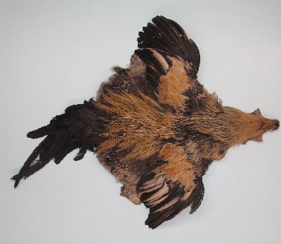 Picture of this lot Chicken Feathers, Hackles