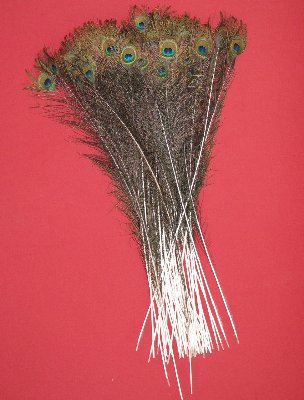 Picture of this lot Peacock Feathers