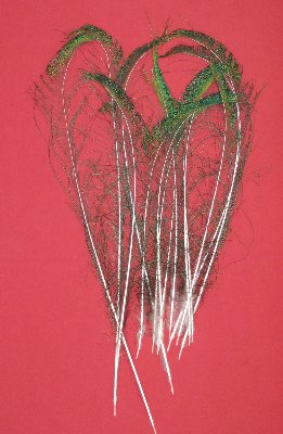Picture of this lot Peacock Feathers