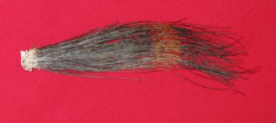 Picture of this lot Wild Turkey Feathers, Wings, Tails and Beards