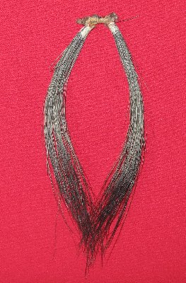 Picture of this lot Wild Turkey Feathers, Wings, Tails and Beards