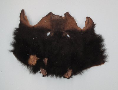 Picture of this lot Raw Fur - Black Bear Pieces