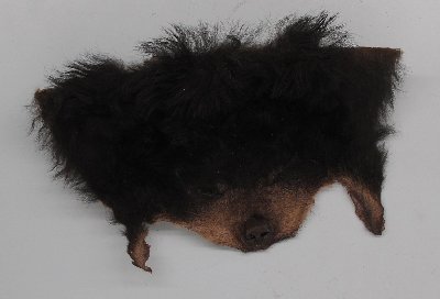 Picture of this lot Raw Fur - Black Bear Pieces