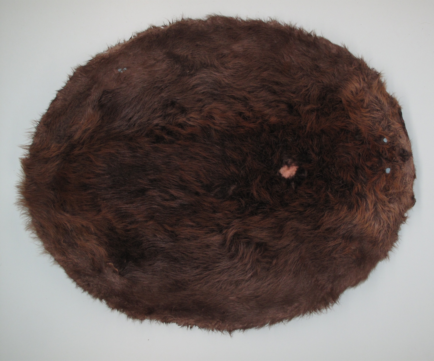 Raw Fur BEAVER (33000279)