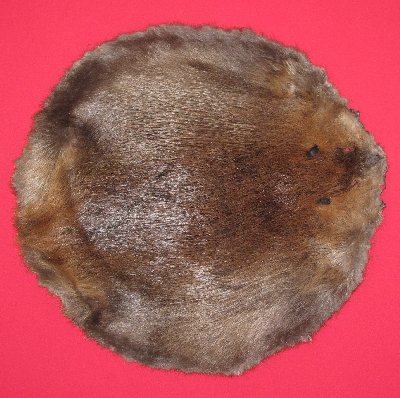 Picture of this lot Raw Fur - Beaver