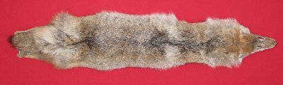 Picture of this lot Raw Fur - Coyote