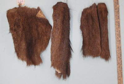 Picture of this lot Raw Fur - Elk