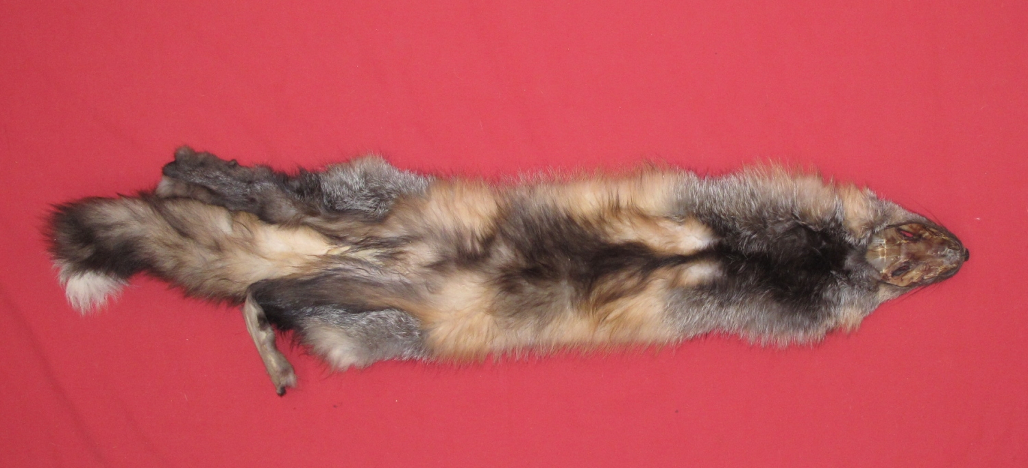 Raw Fur Cross Fox 3505 0141 