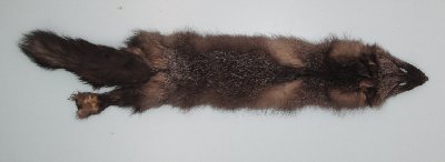 Picture of this lot Raw Fur - Cross Fox