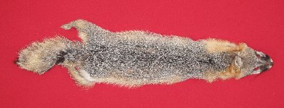 Picture of this lot Raw Fur - Grey Fox