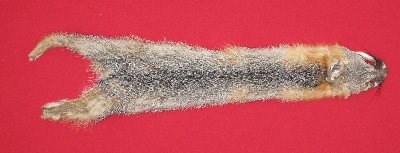 Picture of this lot Raw Fur - Grey Fox