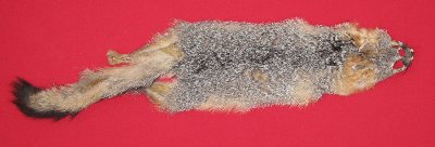 Picture of this lot Raw Fur - Grey Fox