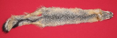 Picture of this lot Raw Fur - Grey Fox