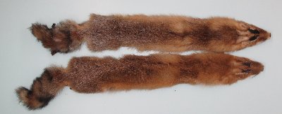 Picture of this lot Raw Fur - Red Fox