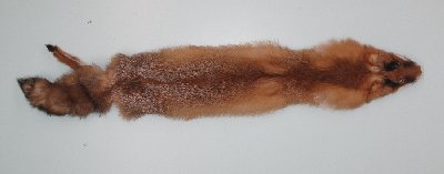 Picture of this lot Raw Fur - Red Fox