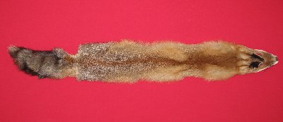 Picture of this lot Raw Fur - Red Fox