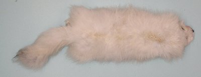 Picture of this lot Raw Fur - White Fox