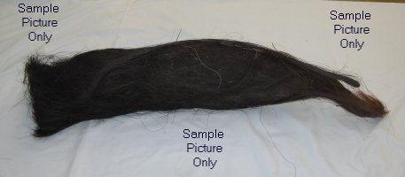 Sample Picture