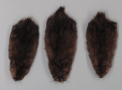 Picture of this lot Raw Fur - Muskrat