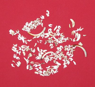 Picture of this lot Teeth - Miscellaneous