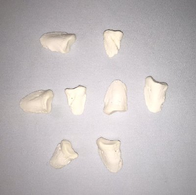 Picture of this lot