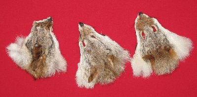 Picture of this lot Tanned Heads, Faces, Furs