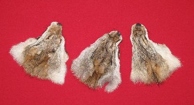 Picture of this lot Tanned Heads, Faces, Furs